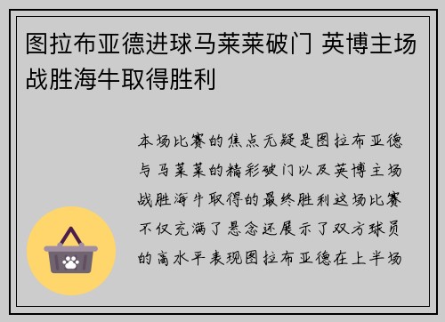 图拉布亚德进球马莱莱破门 英博主场战胜海牛取得胜利