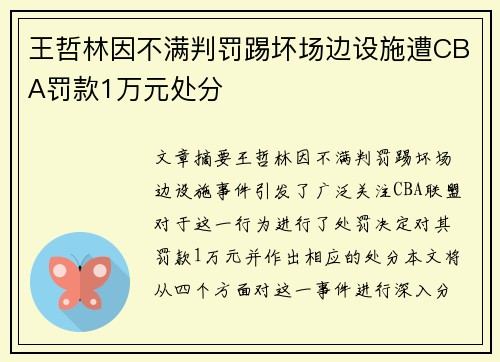 王哲林因不满判罚踢坏场边设施遭CBA罚款1万元处分